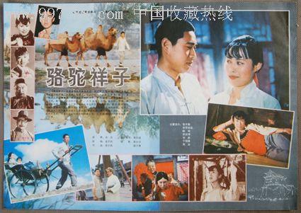 韦顿学院 Design degree certificate